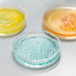 Černice bez semien a čerešne z kríkov? CRISPR mení budúcnosť potravín