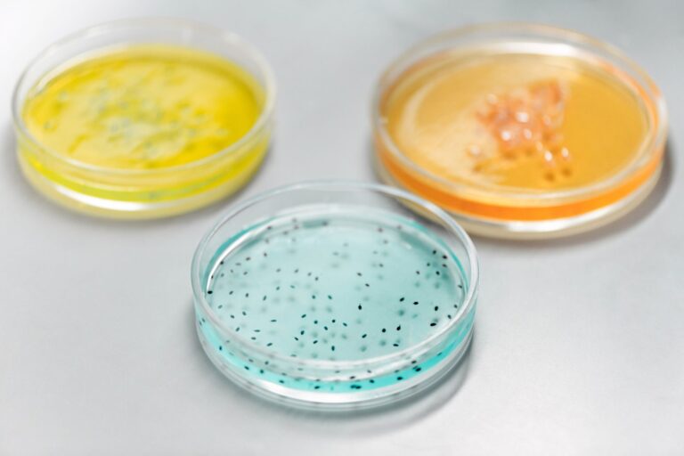 Černice bez semien a čerešne z kríkov? CRISPR mení budúcnosť potravín