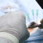 Darované pečene možno biologicky omladiť, tvrdí nový výskum